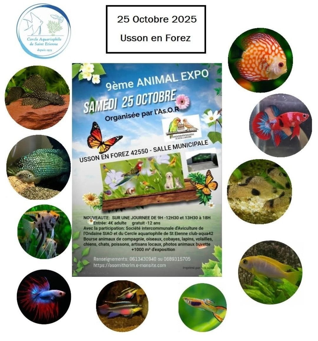 Animal’Expo 2025 : les poissons présentés par le CASE