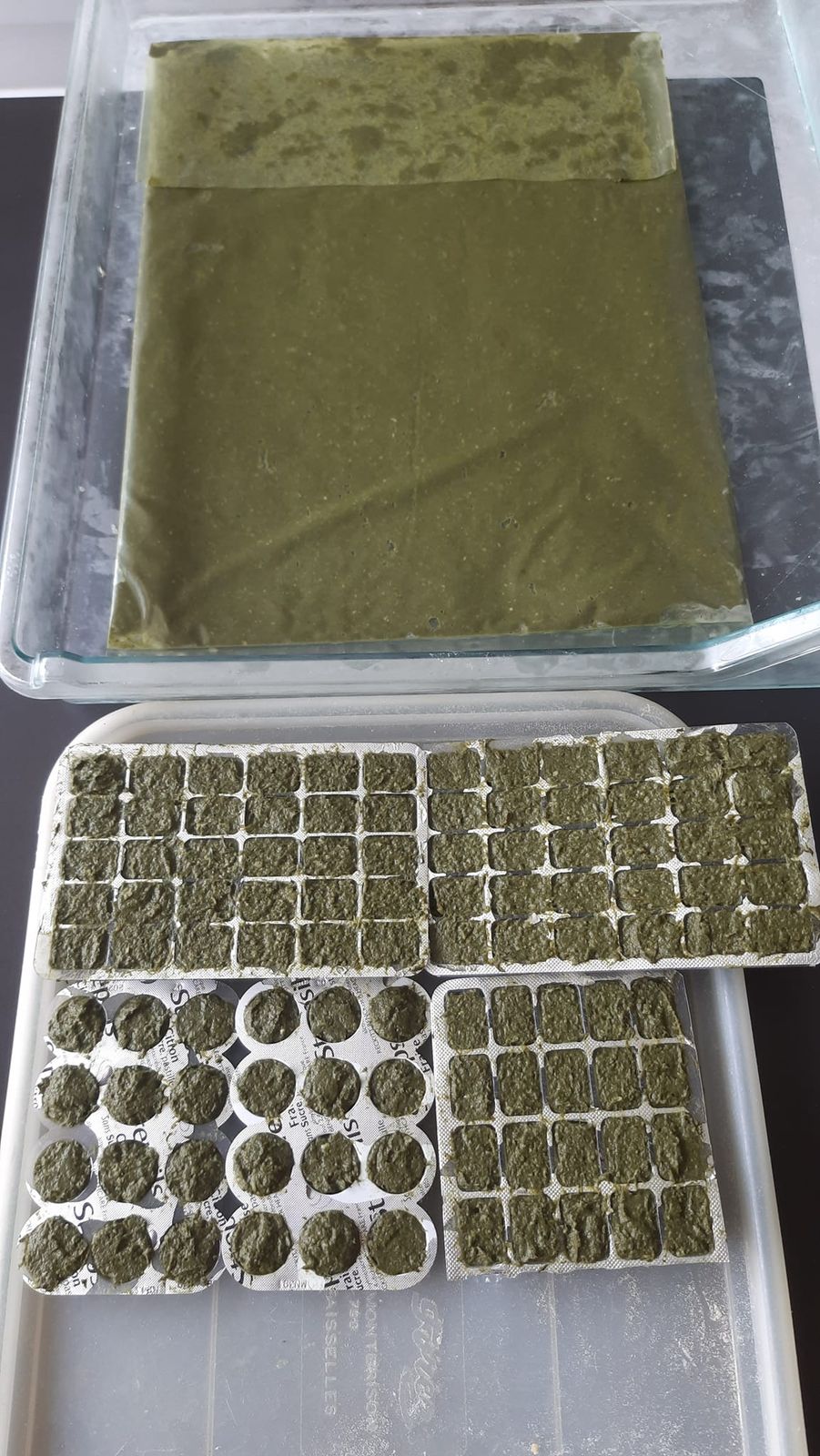Alimentation des poissons : préparation de nourriture maison