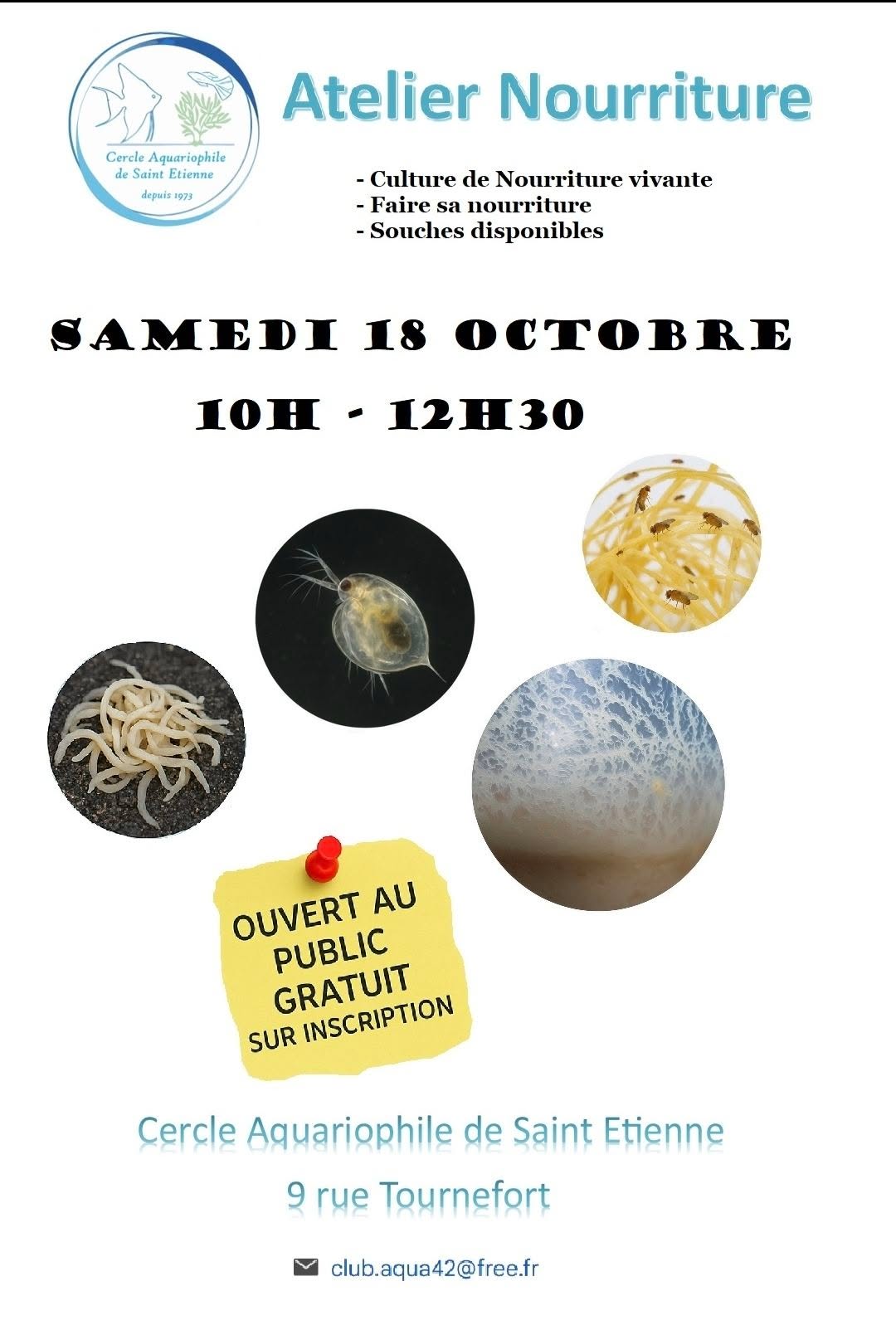 Atelier nourriture pour poissons au CASE : rendez-vous le 18 octobre