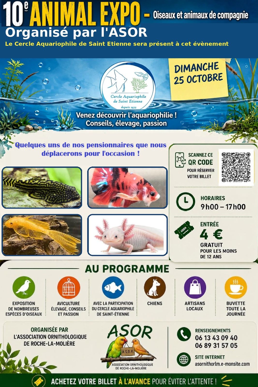 Animal’Expo à Roche-la-Molière : retrouvez le CASE le 25 octobre 2026