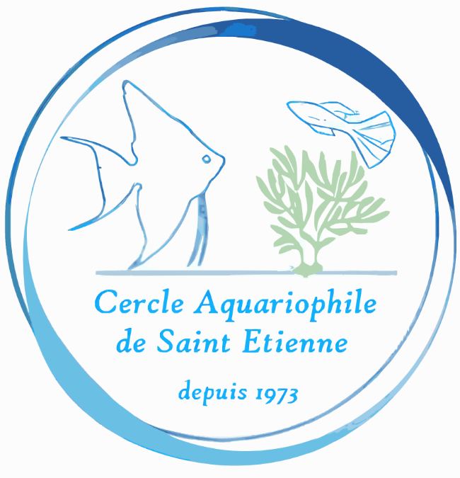 Portes ouvertes du CASE : les poissons et invertébrés annoncés